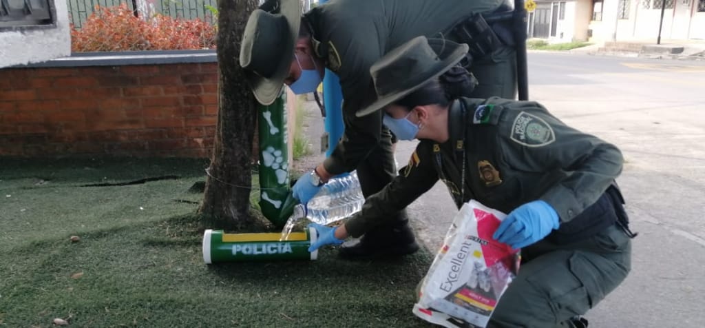 Instalamos dispensadores de comida e hidratación en la ciudad #EllosNoEstanSolos