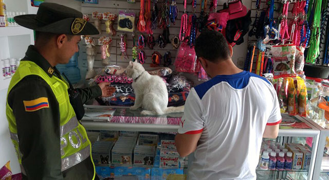 Consciente y protege a tu mejor amigo