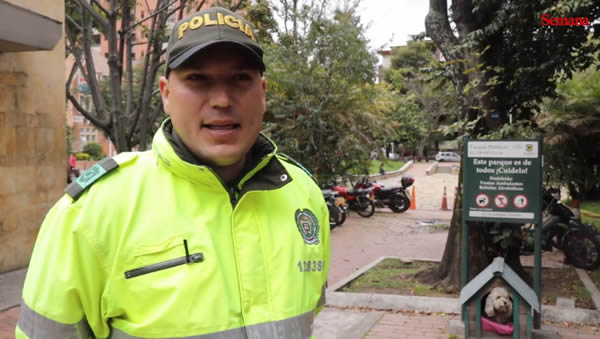 la-perrita-callejera-que-trabaja-en-un-cai-de-bogota