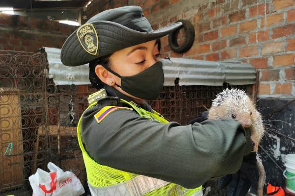 Lideramos-campaña-una-especie-silvestre-no-es-mascota-1