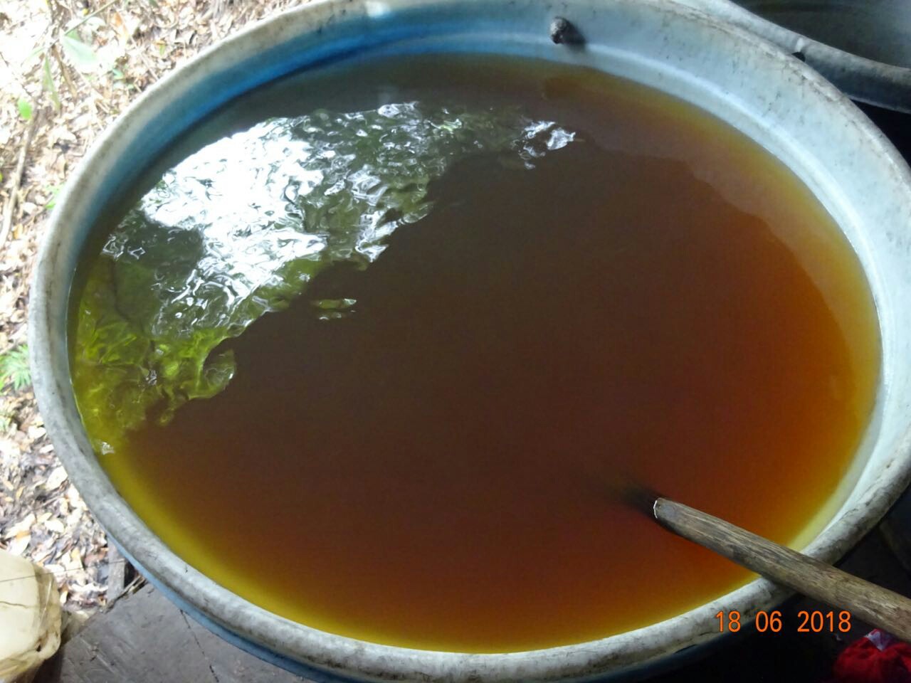 Destruidos-varios-complejos-para-la-producción-del-alcaloide   