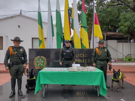 Odhil y Orión, los caninos del Grupo de carabineros que hallaron cerca de 5 mil gramos de marihuana