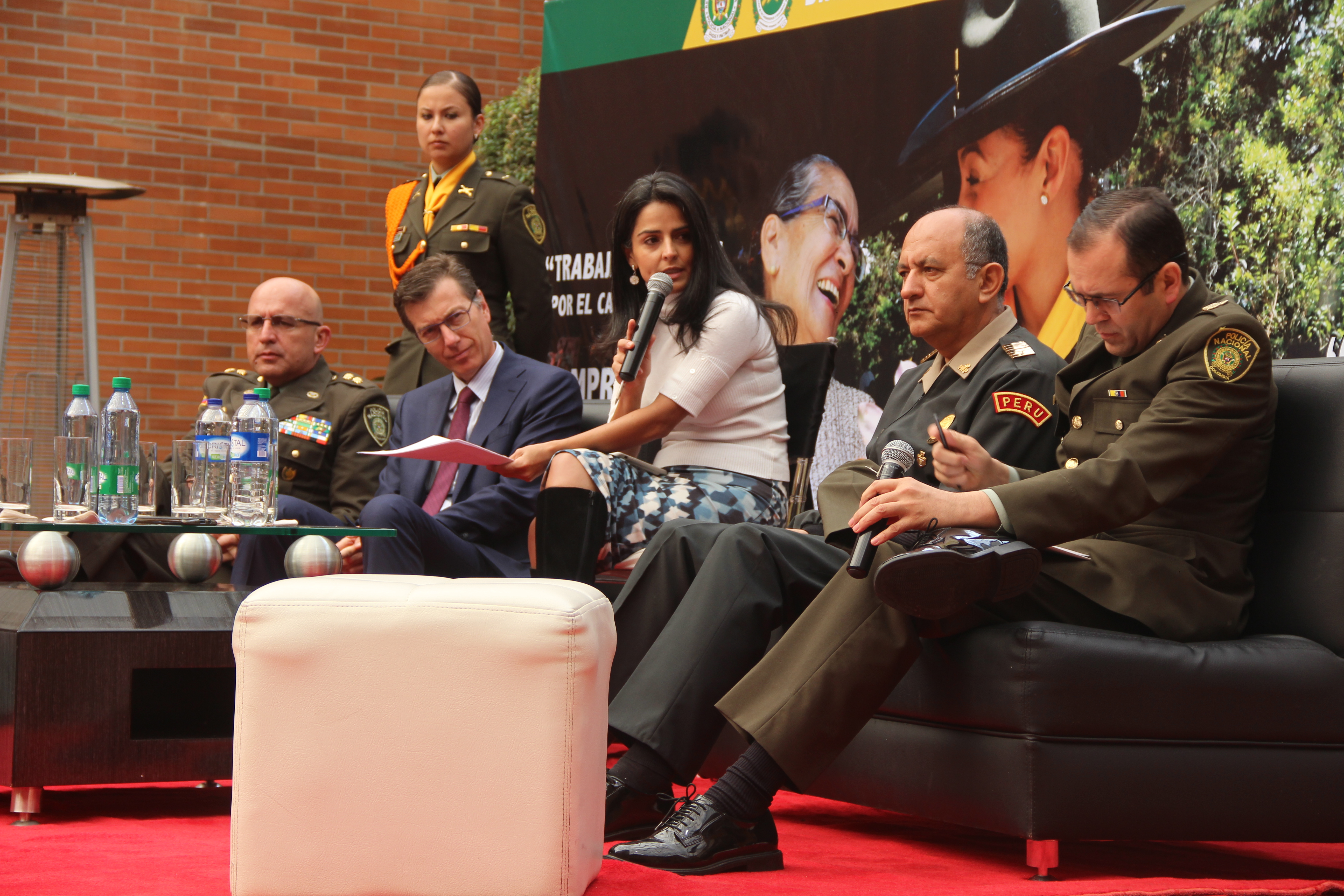 panel de seguridad rural 2