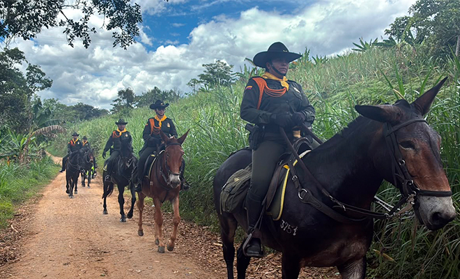 Patrullajes montados en las las veredas La Lajita, El Moral, La Palmita, Caguanoque y El Bosque