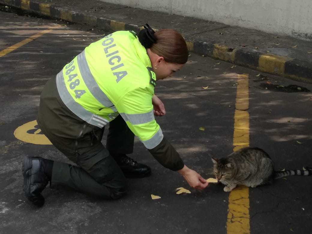 uniformada-alimentando-a-la-gata-pechecha