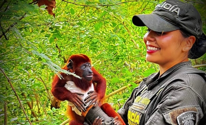 uniformado de la policía nacional sostiene un mono durante un procedimiento de protección de fauna silvestre en zona rural