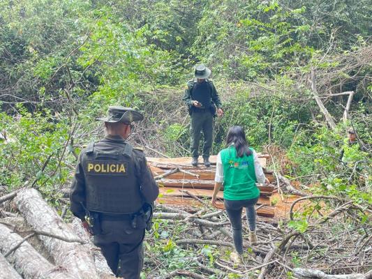 Policía Ambiental en compañía de la "CAM" incautan madera