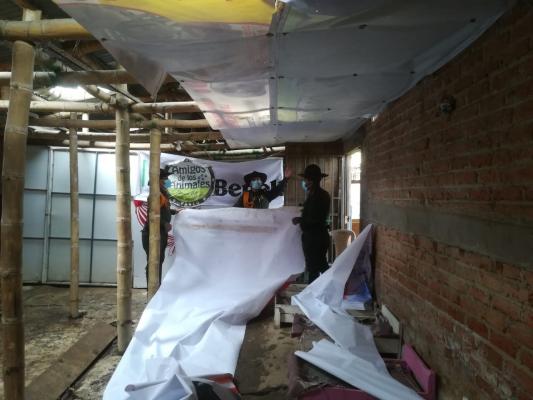 La Protección animal: Un trabajo que encierra la bondad policial en Ipiales.