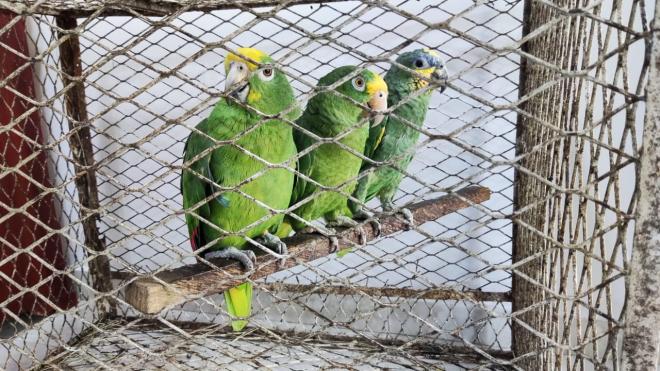 Policía en Neiva, adelanta planes por ambiente sostenible y seguro  