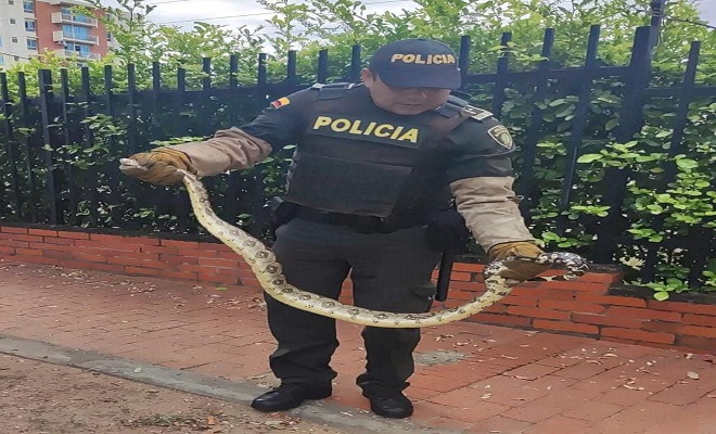 La Policía Nacional de la mano con la fauna y flora de la región