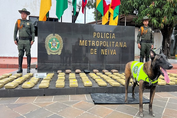 Dos Policía y un canino ODHIL clave en el Hallazgo de 97 paquetes de marihuana
