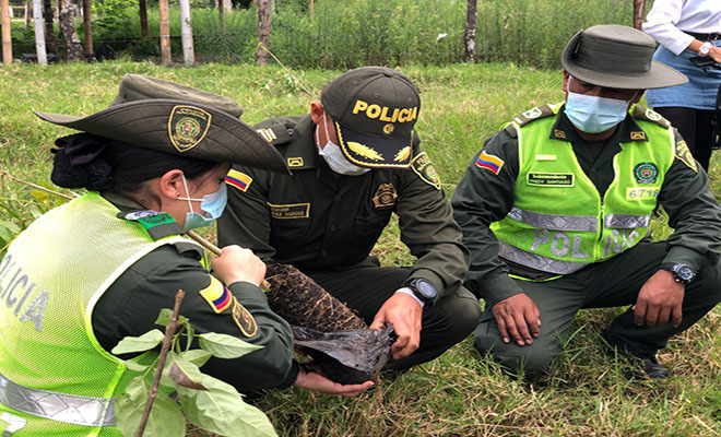  conservación_del_medio_ambiente