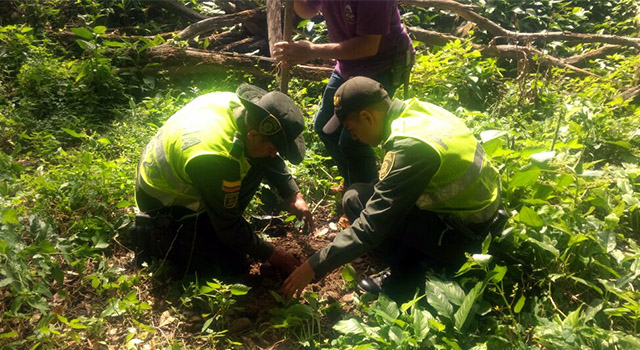 Nuestro compromiso con los humedales-policia-meta