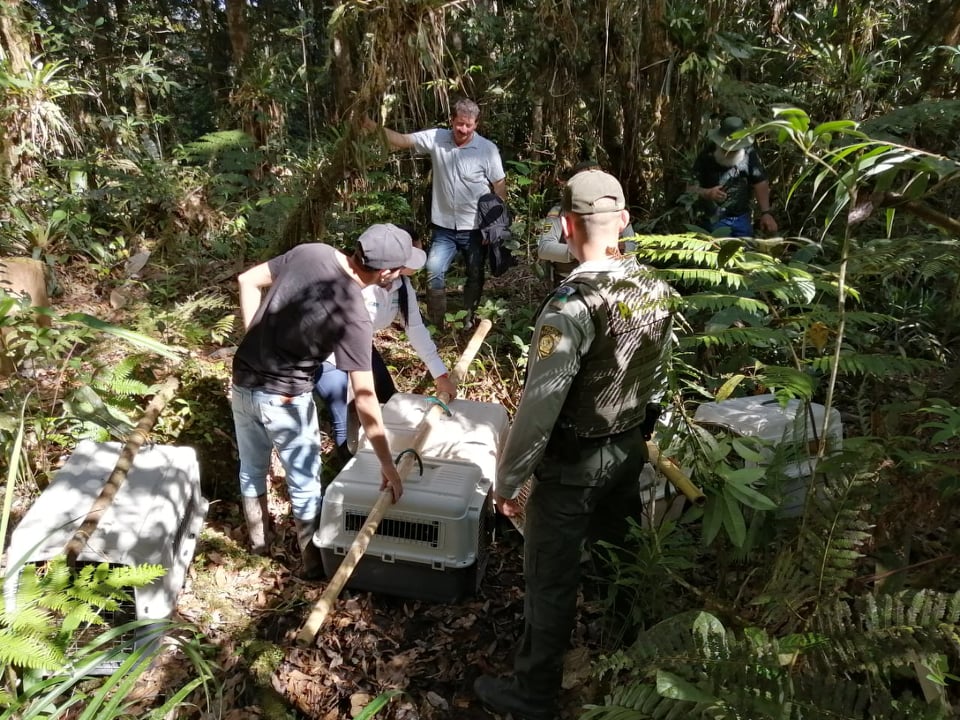 punto_de_liberación