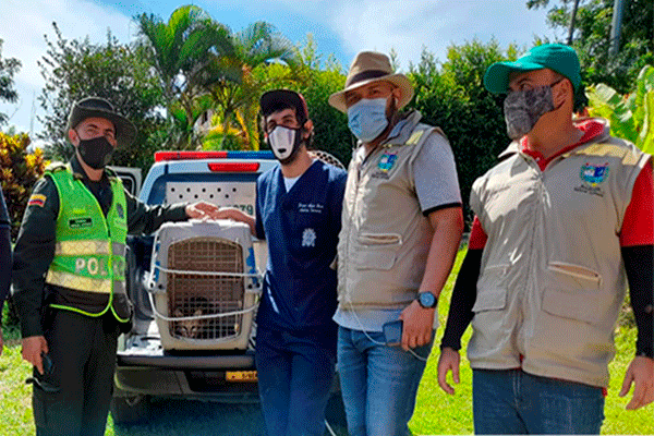 Reafirmamos nuestro compromiso con la protección de los Animales 