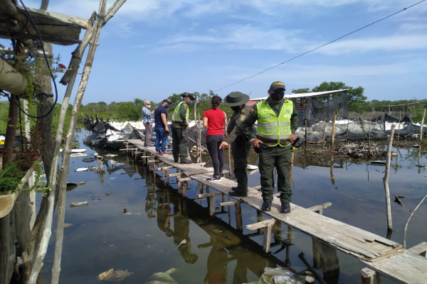Operativos ambientales