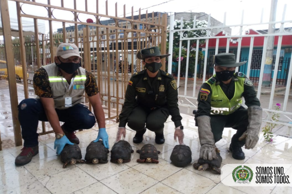 Comprometidos con el fauna