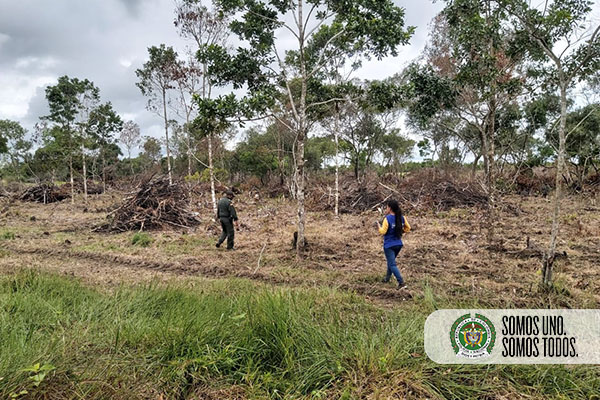 Todos-contra-la-deforestación-en-el-Meta5