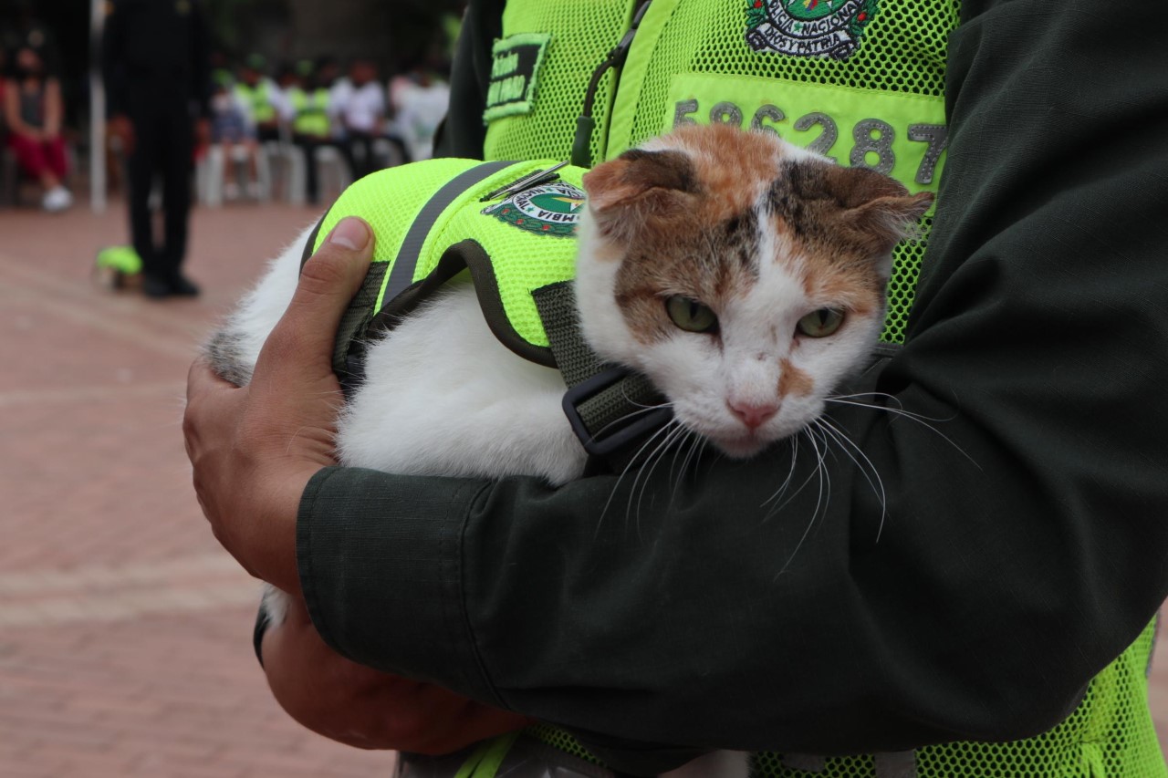 La Policía Nacional conmemora la primera ceremonia de caninos y felinos en la heroica