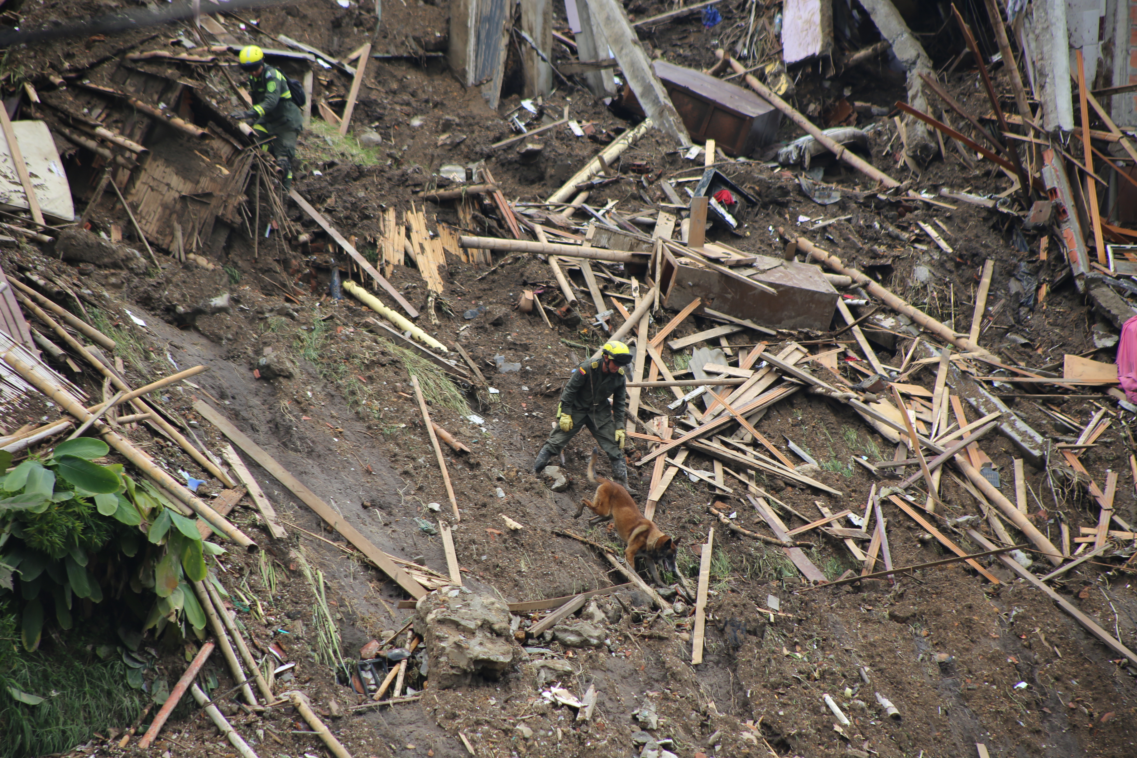 Tomy y su guía buscando cuerpos en la zona de deslizamiento en Manizales 