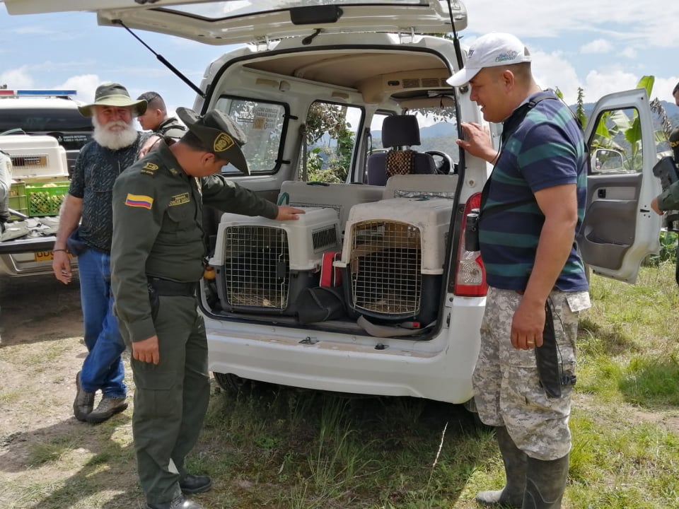  transporte_en_los_vehiculos_de_los_monos_hasta_el_sitio