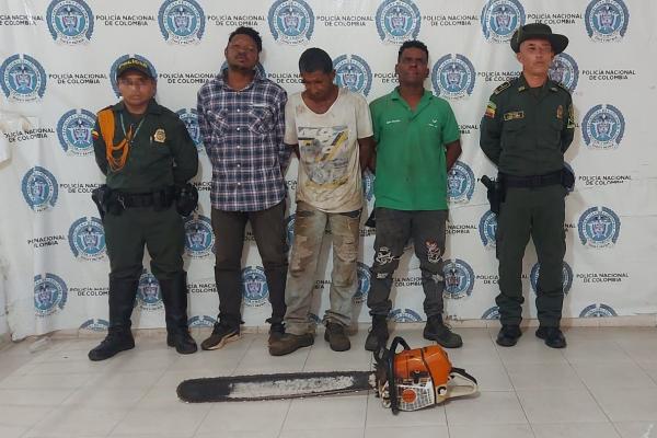Tres personas capturadas por el delito ilícito aprovechamiento de los recursos naturales renovables