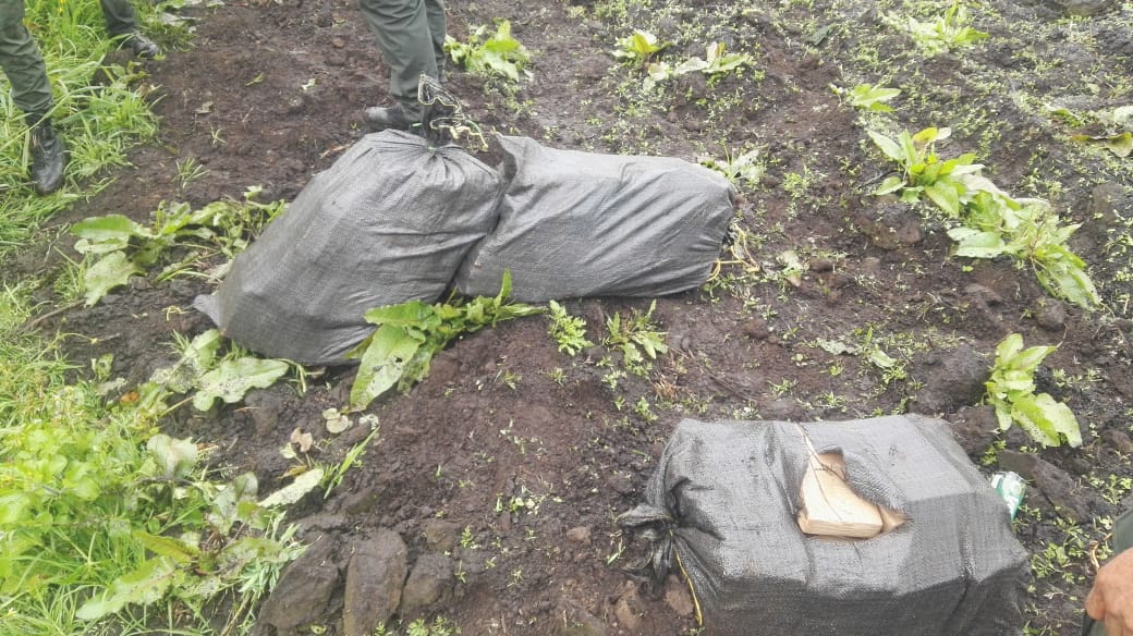 1000-kilos-de-cocaína-fueron-incautados-en-tres-eventos-al-narcotráfico