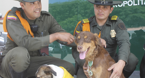 170315-cumpleaños-chocolate-cuidado-animales-cucuta